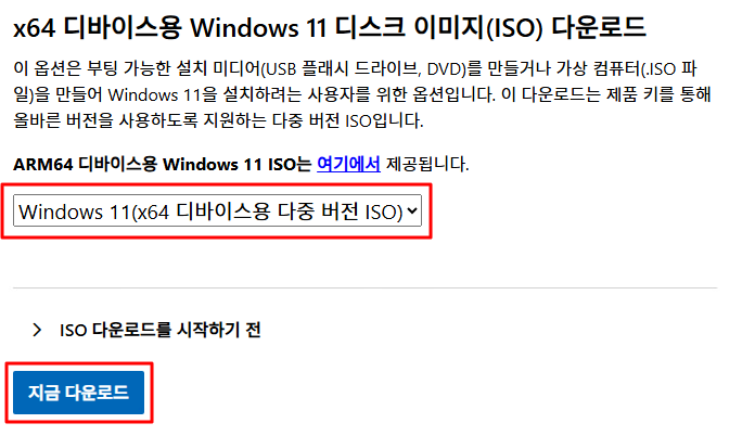 Windows 11 ISO 다운로드 페이지에서 버전 선택과 지금 다운로드 버튼 화면